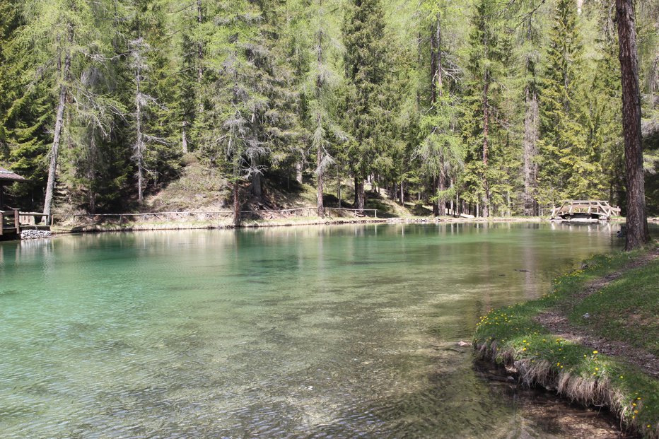 Fotografija: Vabijo številna jezera,a previdno pri tem, kam spuščate svoje pse. FOTO: Igor Fabjan