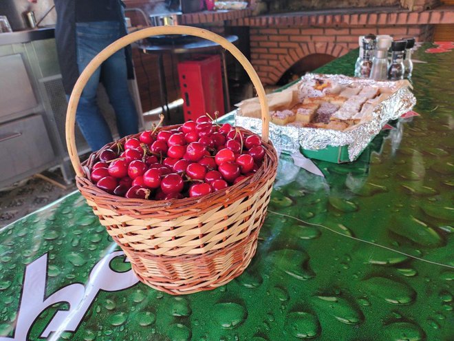 Sveže nabrane češnje za dobrodošlico FOTO: Nada Holc