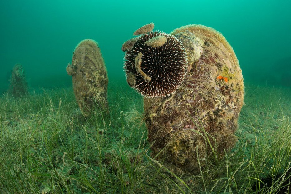 Fotografija: Povsod po svetu hitro izginjajo. FOTO: Borut Furlan