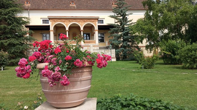 Park vrtnic je privlačen vse poletje – Baden. FOTO: Igor Fabijan