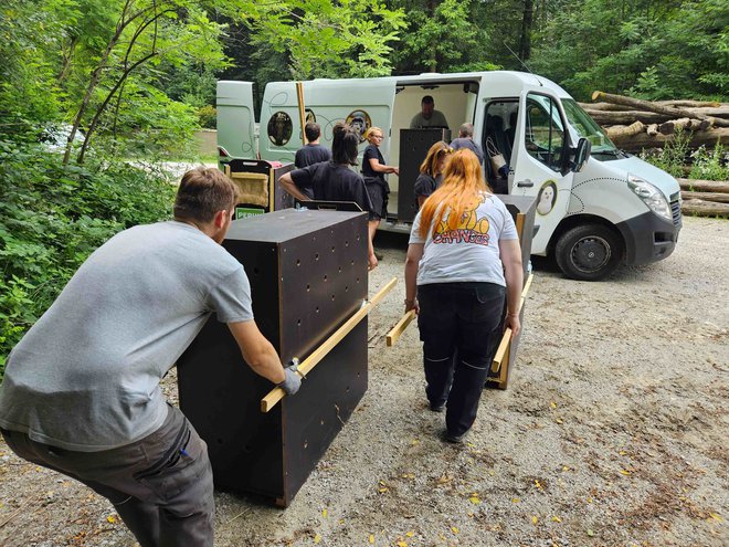 V lesenih boksih so jih prepeljali v Avstrijo. FOTO: ZOO Ljubljana