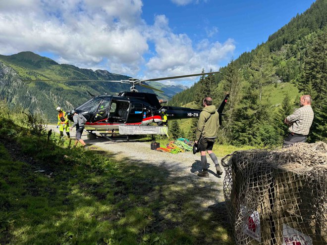 Naslednji dan so jih s helikopterjem odpeljali nad zgornjo gozdno mejo. FOTO: ZOO Ljubljana