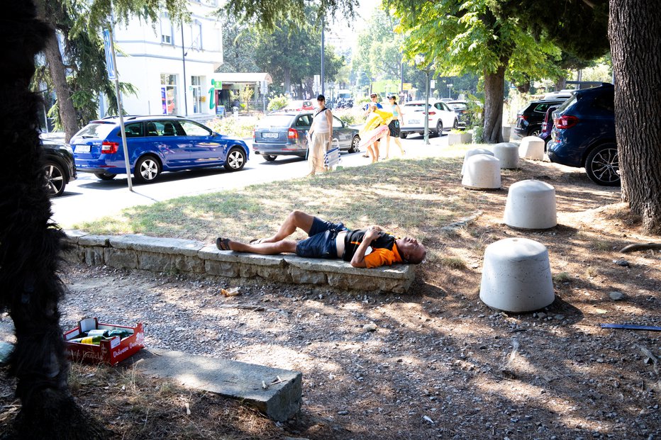 Fotografija: V najhujši vročini si poiščite senco ali ostanite v hiši. FOTO: Voranc Vogel