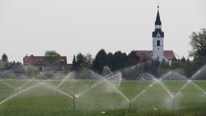 Kadar je padavin premalo, so namakalni sistemi vredni zlata. Foto: Franc Milošič