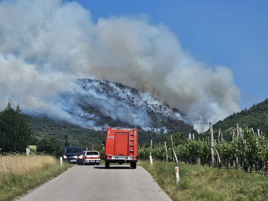 Fotografija: Pozar, ki je dopoldne izbruhnil pod hribom Trstelj na Krasu. FOTO: Tomaž Lanišek/Fb Gasilska Zveza Slovenije