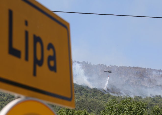 V Lipi so ves čas upali, da se ne bo zgodilo najhujše.