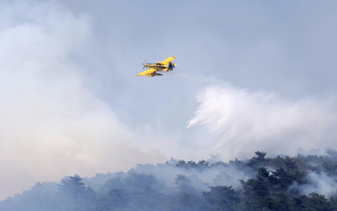 Air tractorja sta bila na Krasu nepogrešljiva. FOTO: Dejan Javornik