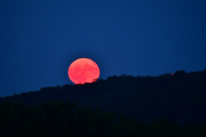 Luna, ki jo je ujel naš bralec. FOTO: Egon Cokan