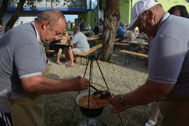 Kuhali bodo tudi bujto repo. FOTO: Oste Bakal