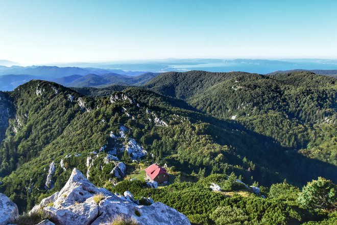 Iz Istre so se preselili v hribe. FOTO: Motovunski filmski festival