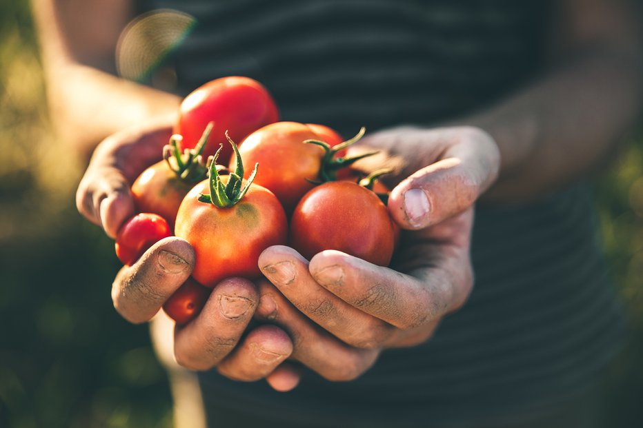 Fotografija: Zdrav, a lahko ga je tudi preveč. FOTO: Mongione/Shutterstock