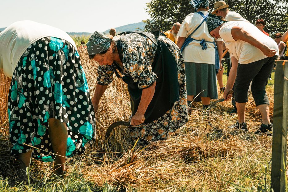 Fotografija: Tako so delale naše babice. Foto: Gašper Ogrinc