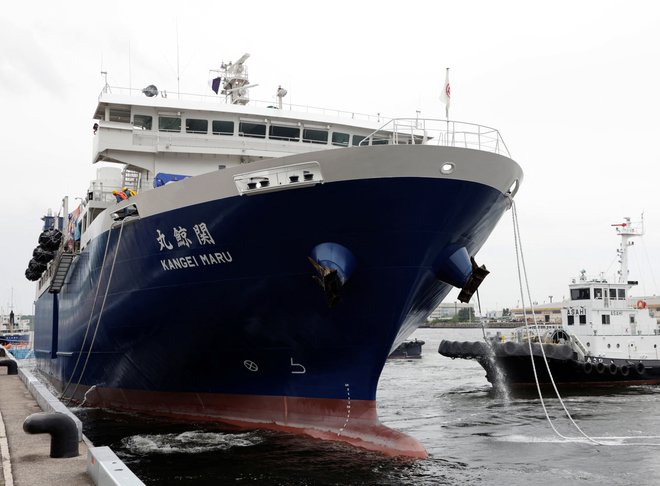 Najnovejša pridobitev v japonski floti, ladja Kangei Maru Foto: Tom Bateman/REUTERS