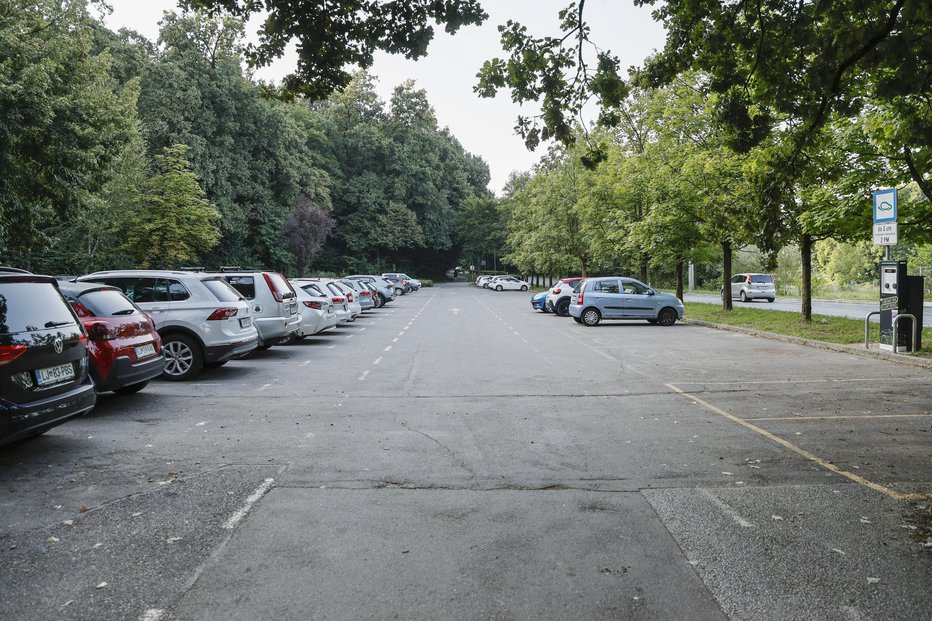 Fotografija: Obiskovalci živalskega vrta bodo z nakupom vstopnine plačali tudi parkiranje. Foto: Jože Suhadolnik