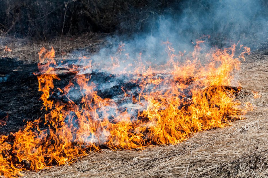 Fotografija: Fotografija je simbolična. FOTO: Blue Cat Studio Getty Images/istockphoto