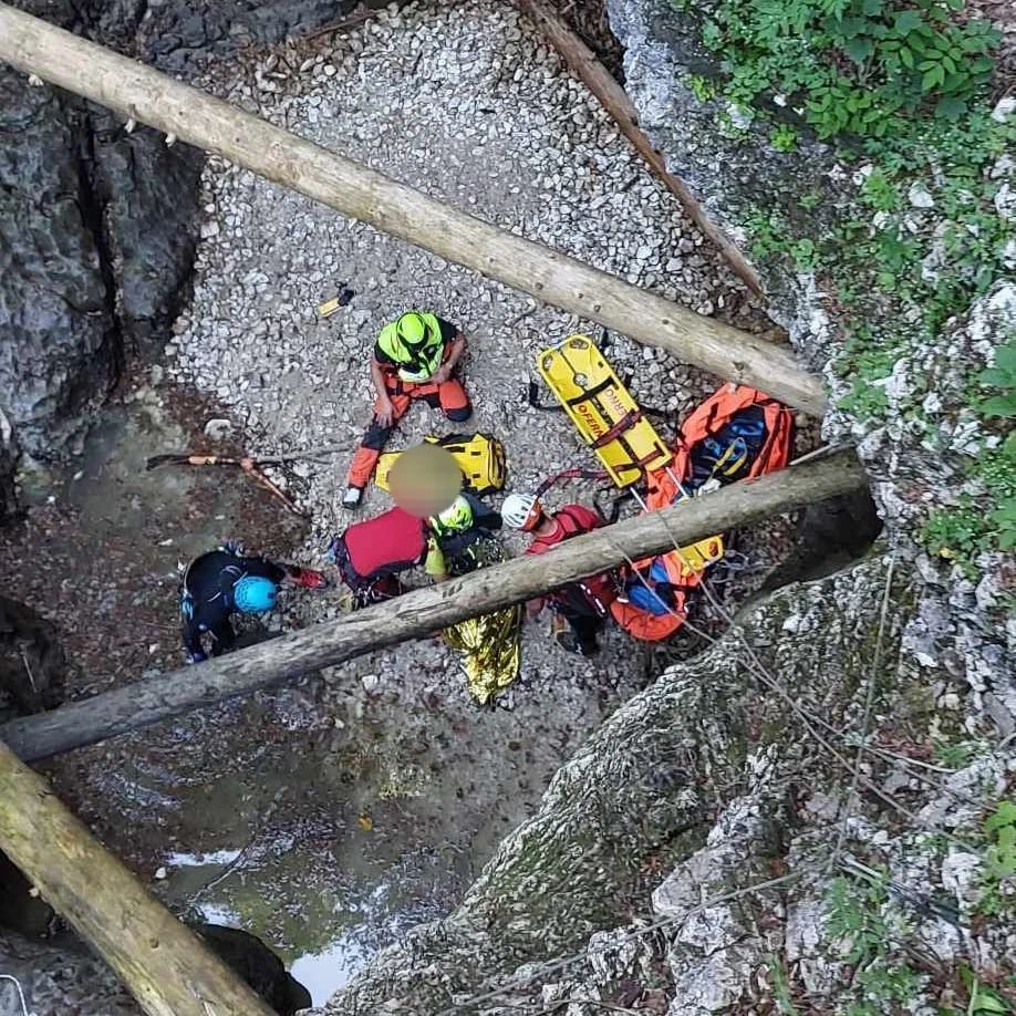 Fotografija: Grozili so jim padli sušci. FOTO: Grs Bohinj