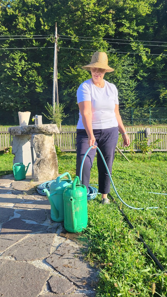 Za vrt skrbno skrbijo, v vročini potrebuje veliko vode. FOTO: Drago Perko