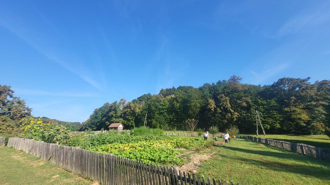 Vrt je na Otočcu. FOTO: Drago Perko