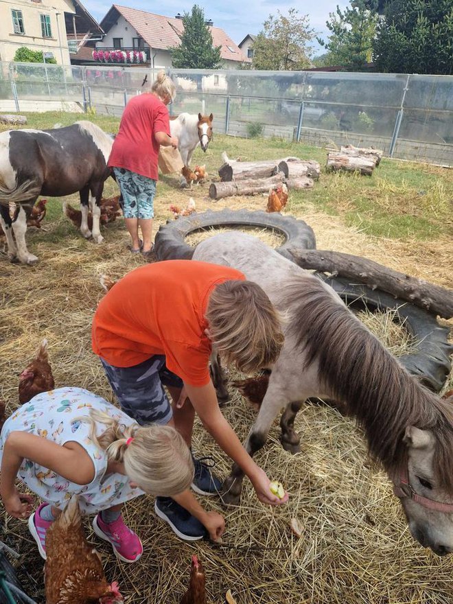 Namesto rojstno dnevnih daril zase, zbirala hrano in denar za naše varovance. FOTO: Arhiv Društva