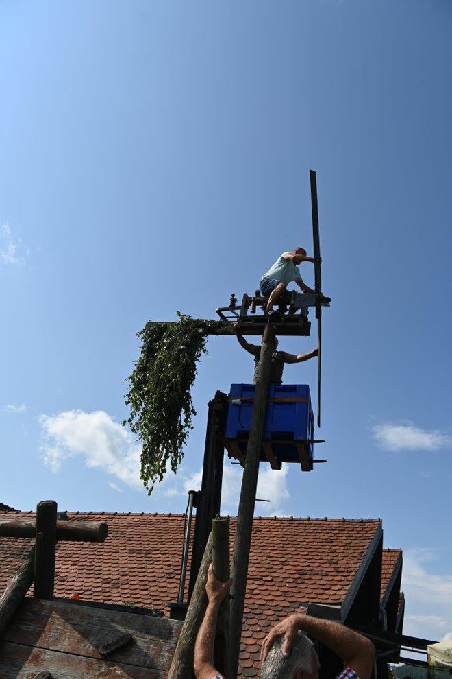 Na Fleisingerjevi vinogradniški kmetiji že klopota. FOTO: Ludvik Kramberger