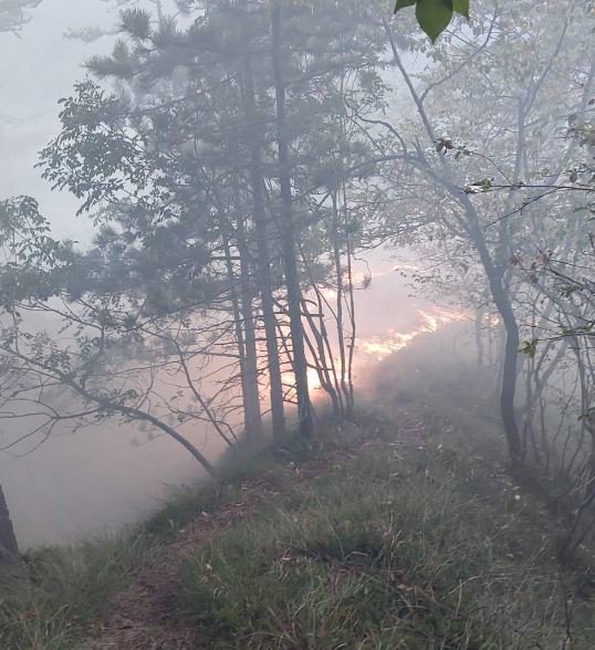 Fotografija: FOTO: Pgd Kočevska Reka