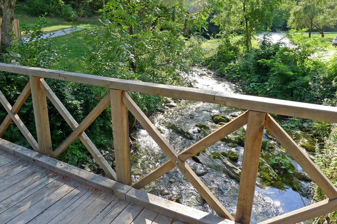 Mimo izvira in bazena teče potok Kopačnica. FOTO: Primož Hieng