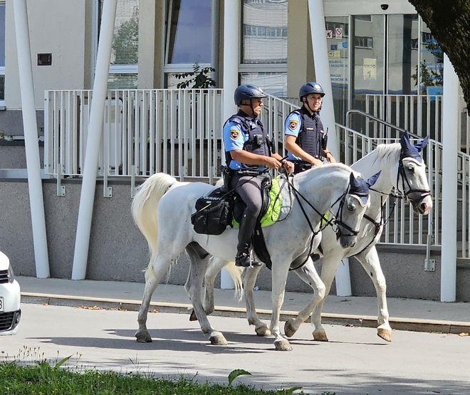 Policisti nadaljujejo z izvajanjem okrepljenih aktivnosti na območju Kočevja. FOTO: Pu Ljubljana