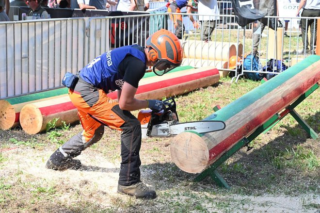 Mojstri do obisti obvladajo motorno žago.