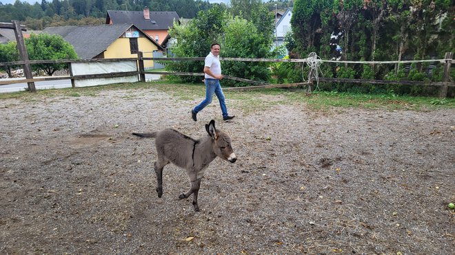 Mala Andrejka je vsak dan bolj razigrana.