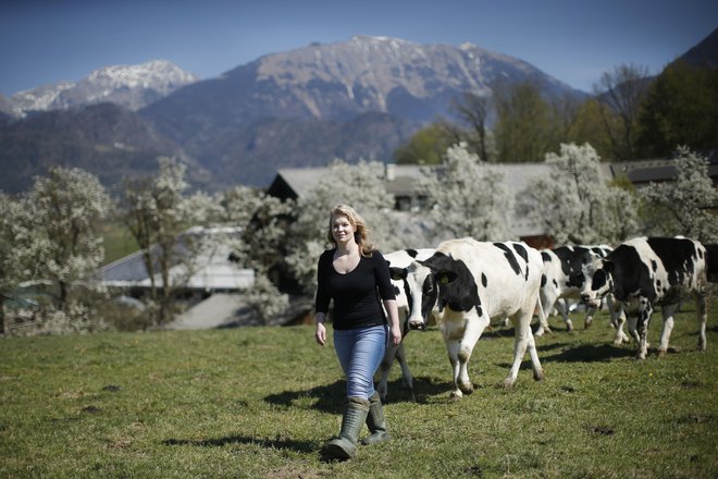 Številni vidijo priložnost slovenskega kmetijstva v generacijski prenovi. FOTO: Jure Eržen