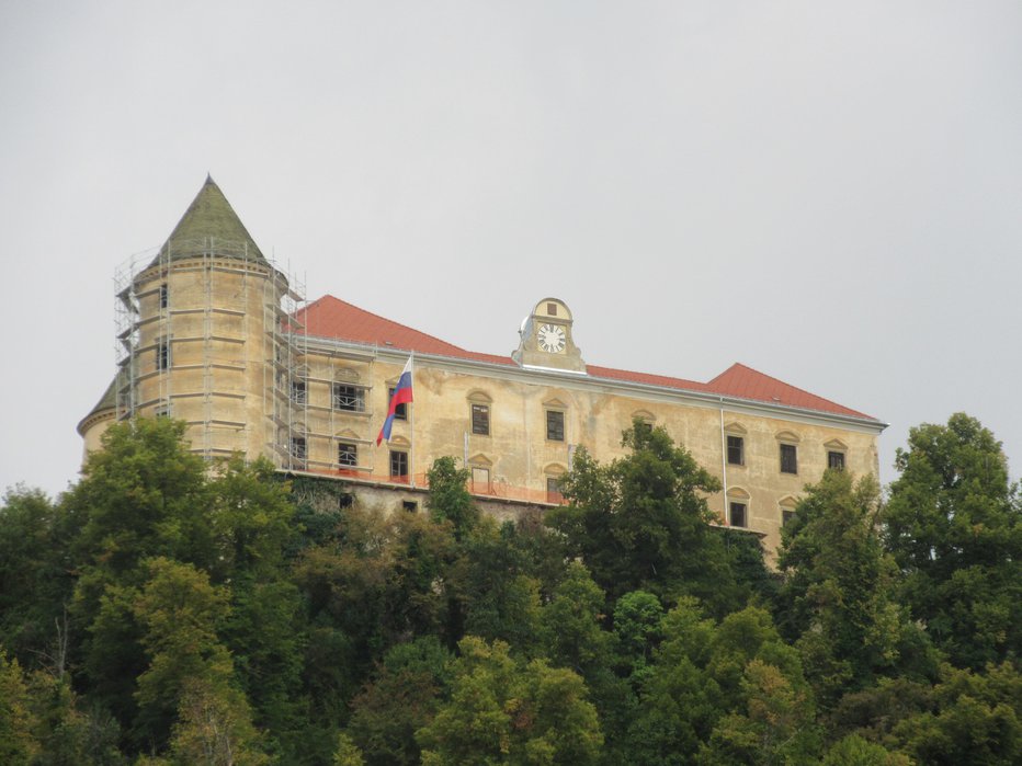 Fotografija: Stoji na vzpetini, od koder je izjemen razgled na Obsotelje. FOTO: Špela Kuralt