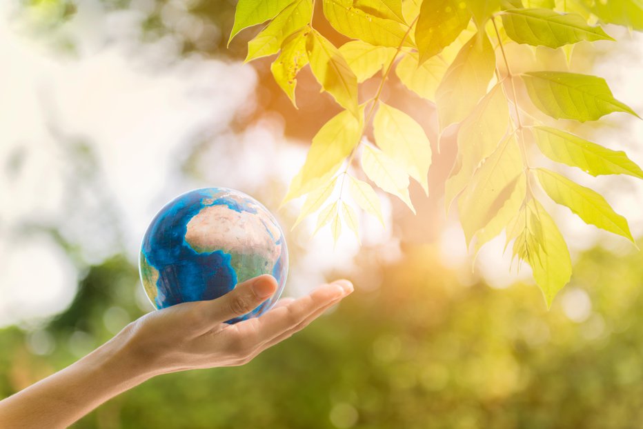 Fotografija: Zemlja se nam s spominom na one, ki jih prekrije prst, lahko pokaže kot kraj, kjer je res lepo živeti. FOTO: Sorn340 Getty Images/istockphoto