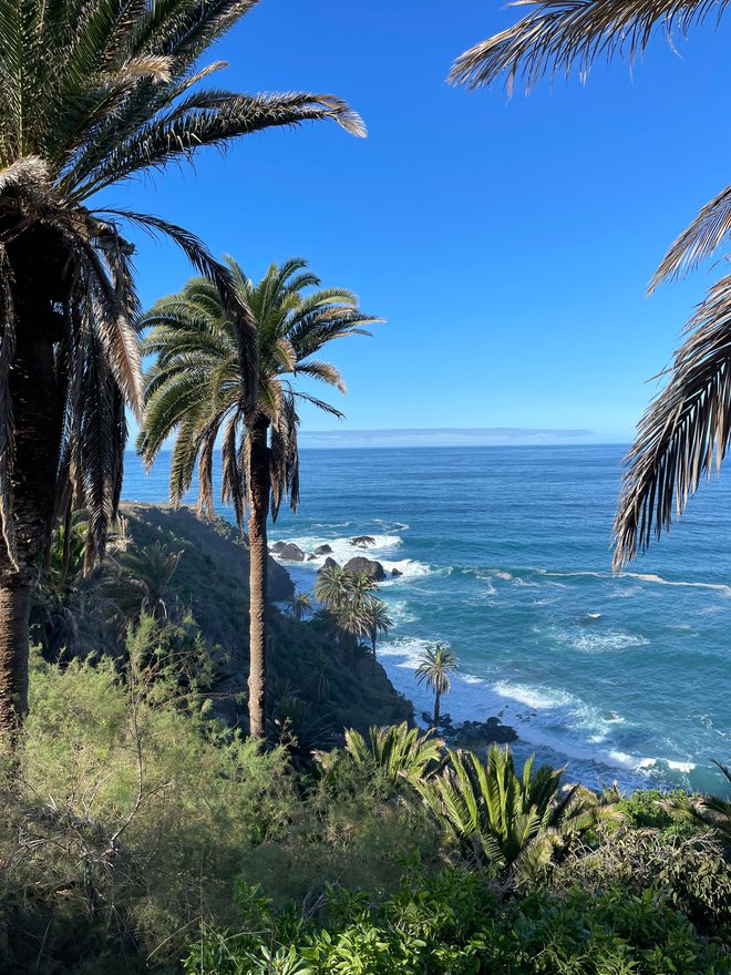 Na rajskem otoku so ostali še noč dlje. FOTO: Goran Breščanski, Bookincanarias