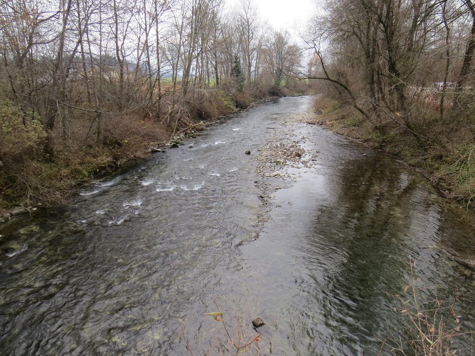 Fotografija: Kamniška Bistrica. FOTO: Bojan Rajšek