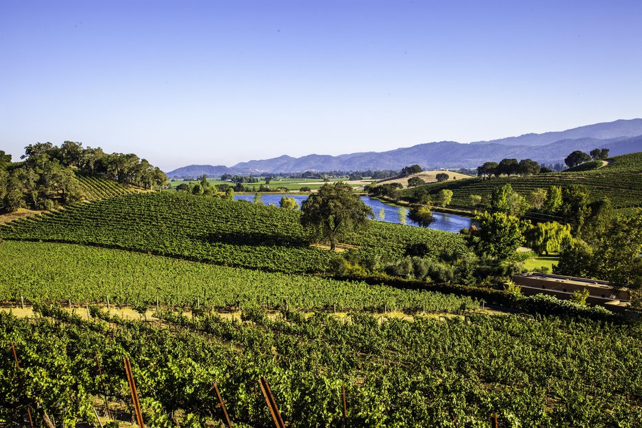 Fotografija: Restavracija je v vinorodni kalifornijski dolini Napa. FOTO: Bmdesign/Getty Images