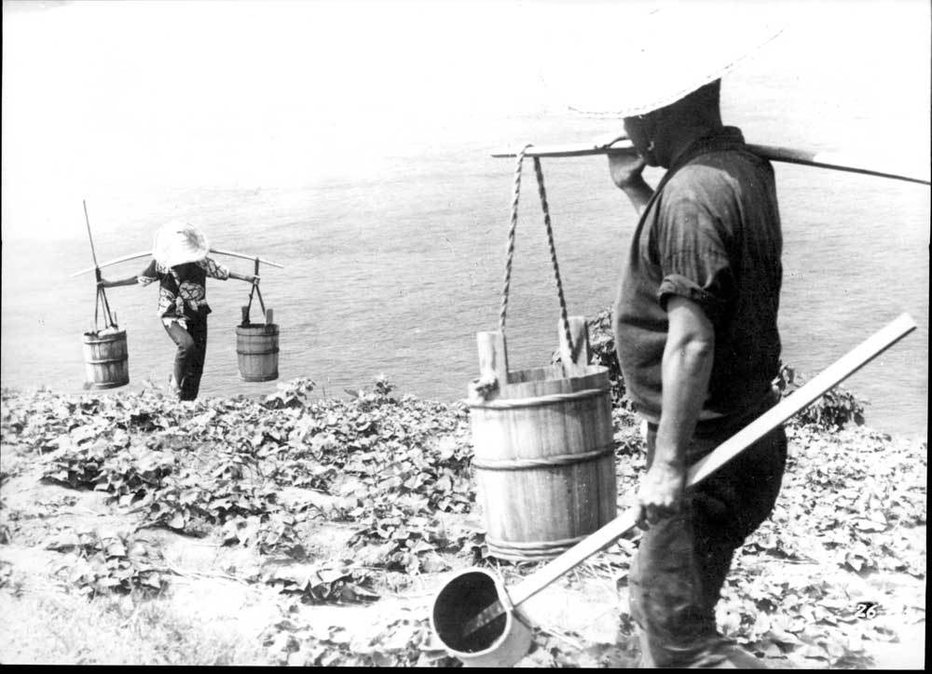 Fotografija: Goli otok, 1960 FOTO: Kindai/Kinodvor