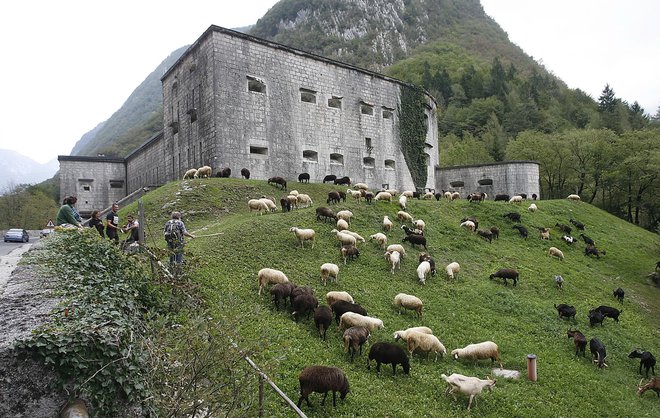 Naj ne bo odveč dodaten kos toplejšega oblačila, saj se sonce rado skrije za oblake in hitro postane hladno. FOTO: Črt Majcen