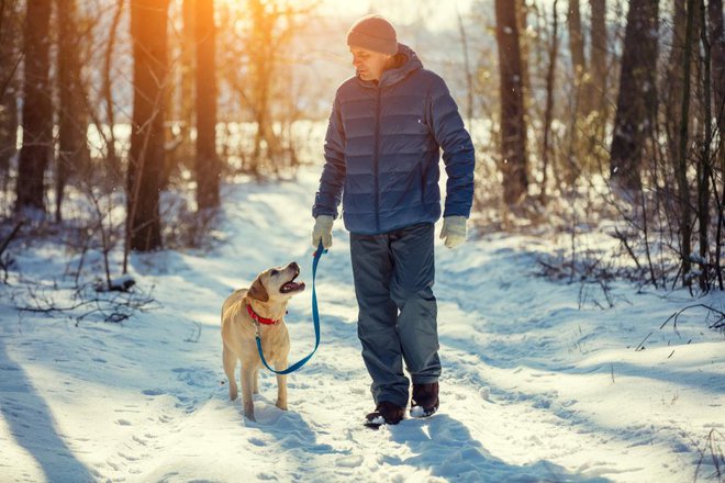 V višjih predelih in na severu napovedujejo več sneženja. FOTO: Vvvita, Shutterstock