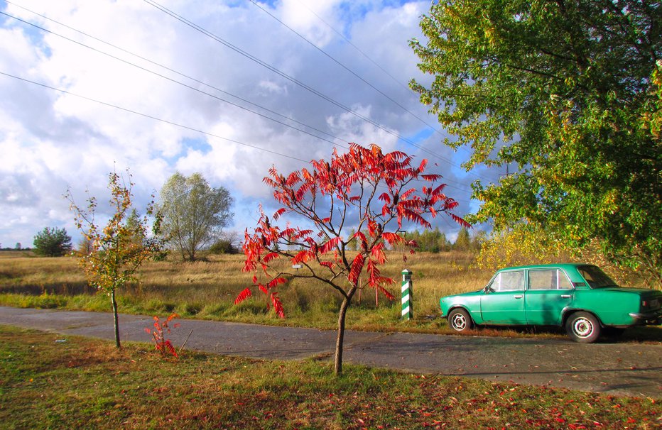 Fotografija: FOTO: Anuska Delić 