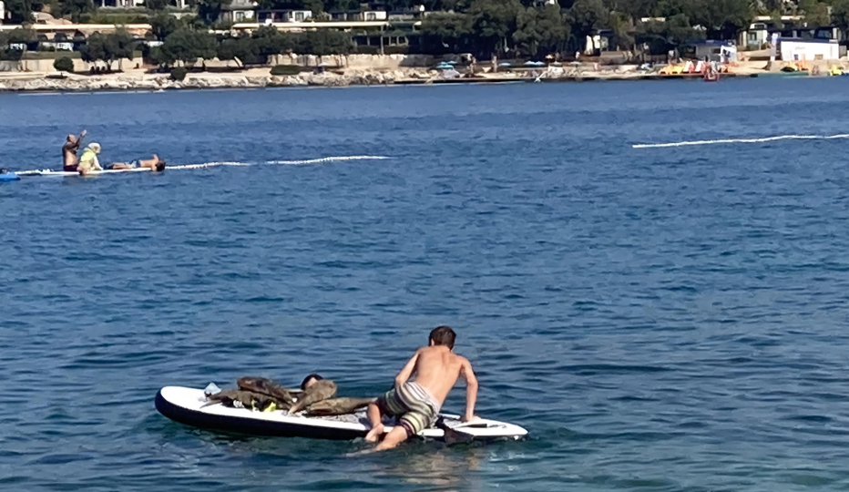 Fotografija: Veliki leščur velja za ogroženo vrsto. FOTO: Bralka Anja