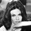 Bilo je nekoč: Jacqueline Bisset (Suzy)