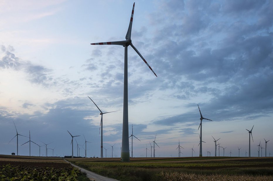 Fotografija: Burgenland je v nekaj letih postal vodilna regija za nove energije. FOTO: M. F.