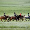 Novinar, čigar družina je bila julija umorjena s samostrelom, se je vrnil v službo