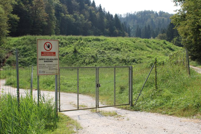 Po stečaju IUV je država usnjarske odpadke v Rakovniku prekrila z zemljino. FOTO: Bojan Rajšek/Delo