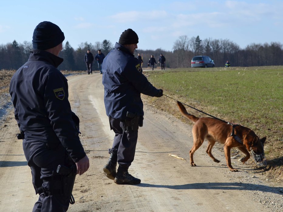 Fotografija: Fotografija je simbolična. FOTO: Tanja Jakše Gazvoda