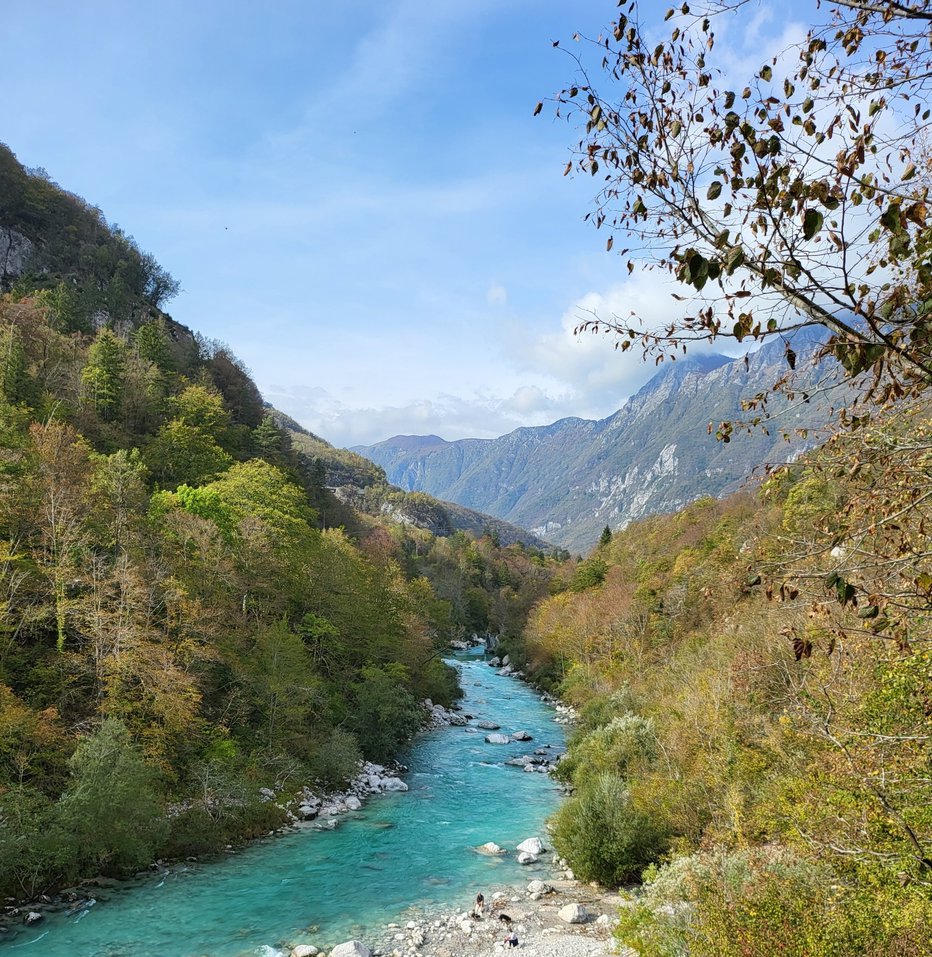 Fotografija: Zgodilo se je v reki Soči. FOTO: PU Nova Gorica