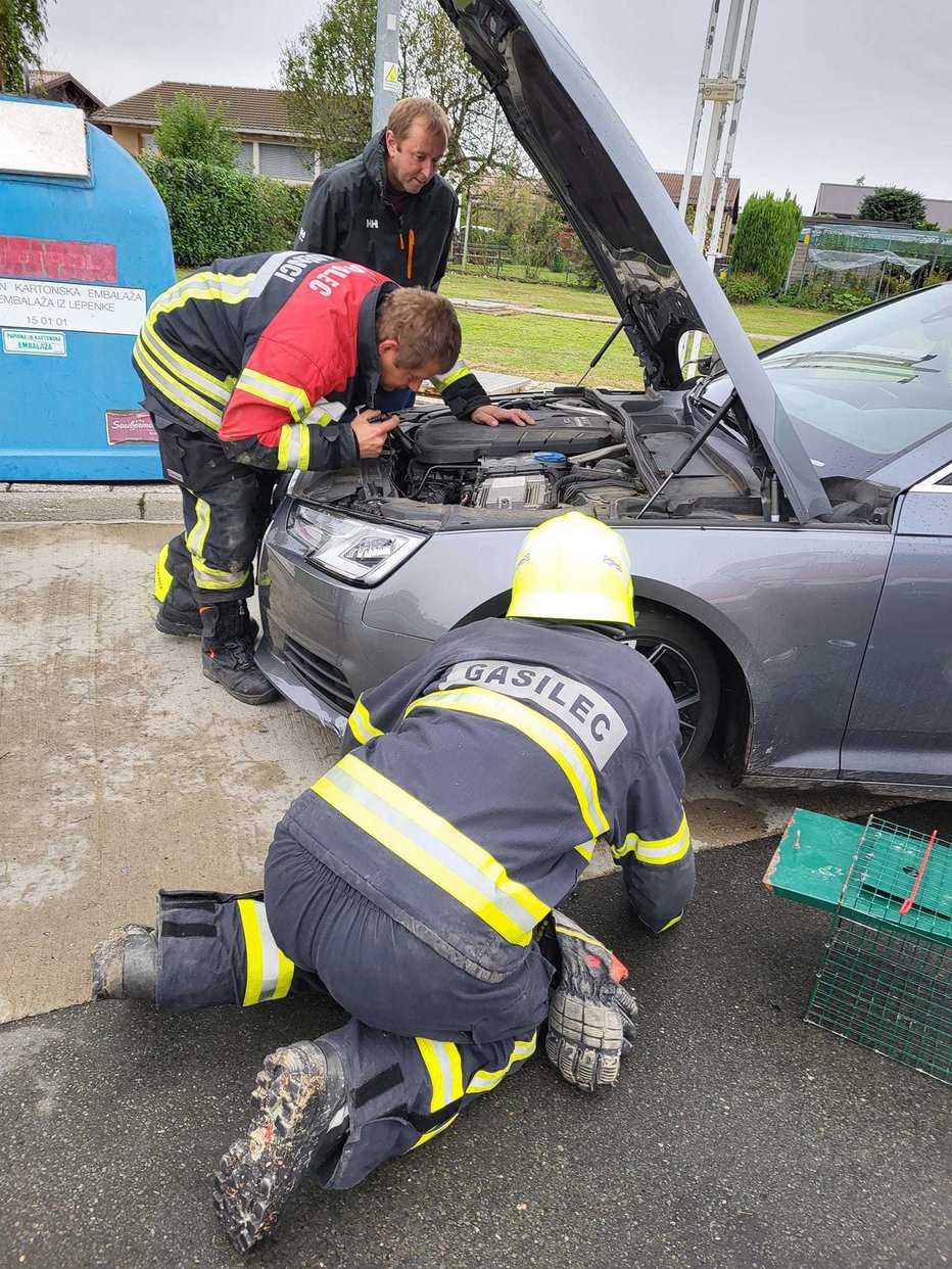 Fotografija: Na bencinski servis je pripotovala pod pokrovom motorja. FOTOGRAFIJI: DZŽP