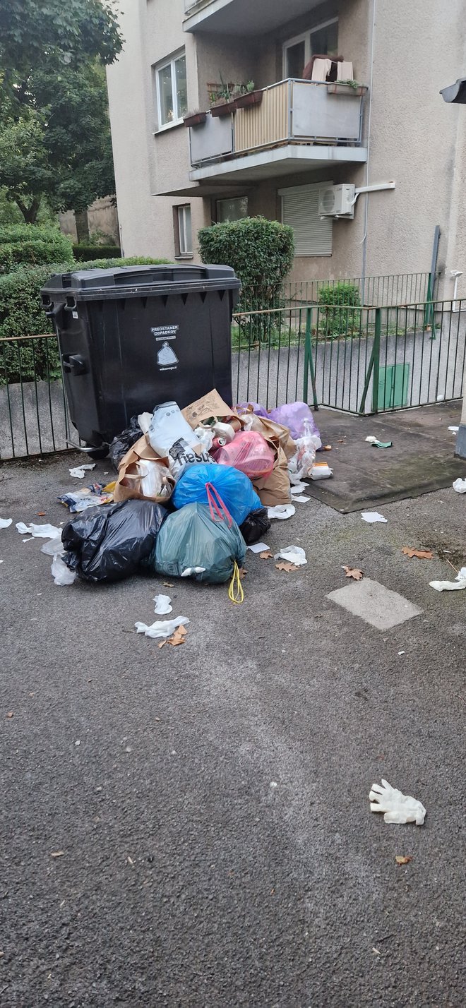 Podjetje vztraja, da z manjšimi vozili vozijo le po stari Ljubljani in drugod. FOTO: Bralka Mojca