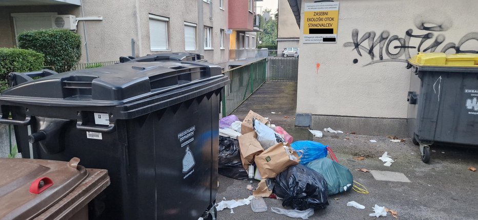 Fotografija: Kljub zasebnemu zemljišču smeti odlagajo tja tudi sosednji stanovalci in bližnji lokali. FOTO: Bralka Mojca