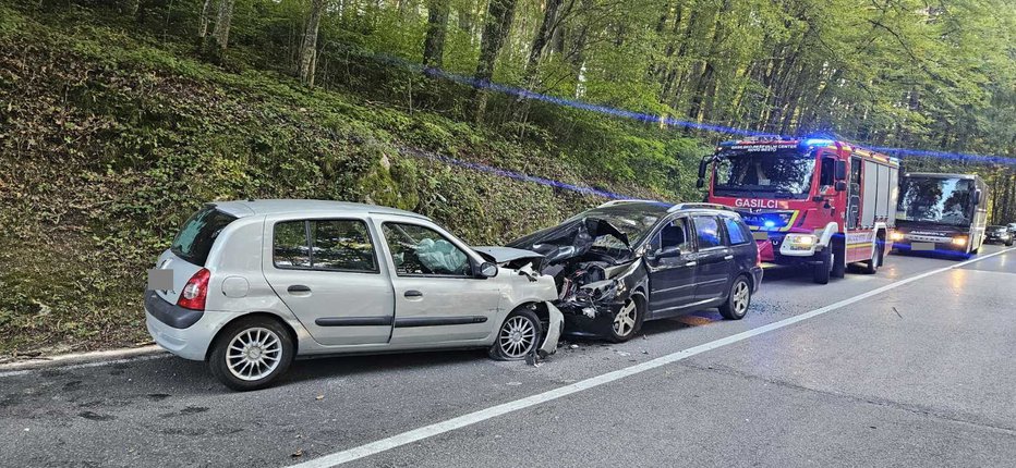 Fotografija: Posledice prometne nesreče FOTO: PU Novo Mesto